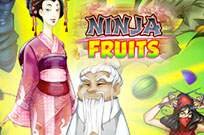 Ninja Fruits PlayNGo